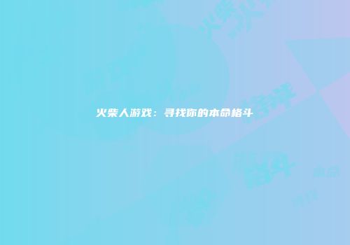 火柴人游戏：寻找你的本命格斗