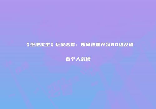 《绝地求生》玩家必看：如何快速升到80级及查看个人战绩