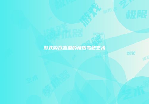 游戏模拟器里的极限驾驶艺术