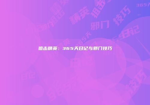 狙击精英：365天日记与邪门技巧