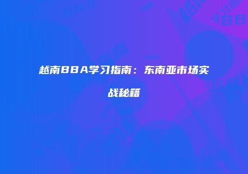 越南BBA学习指南：东南亚市场实战秘籍