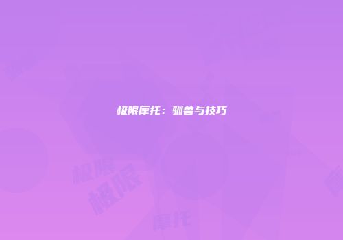 极限摩托：驯兽与技巧