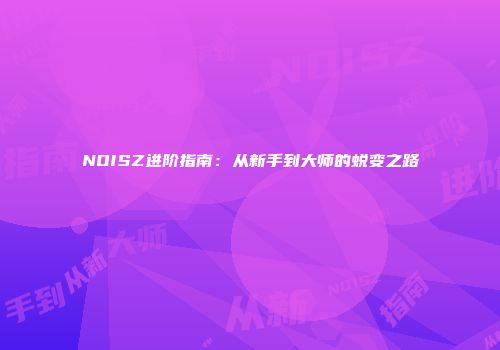 NOISZ进阶指南：从新手到大师的蜕变之路