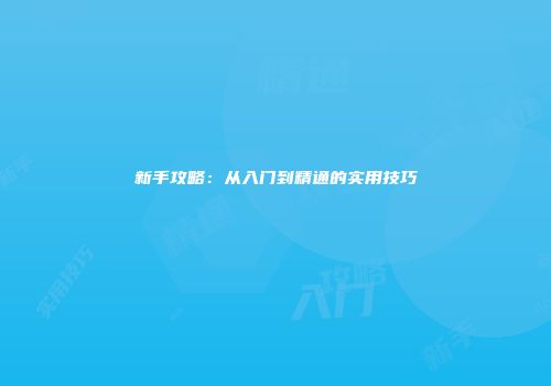 新手攻略：从入门到精通的实用技巧