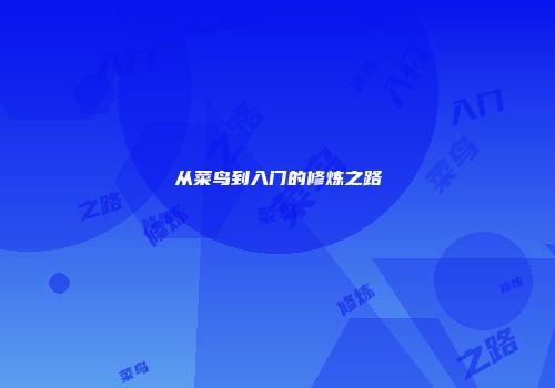 从菜鸟到入门的修炼之路