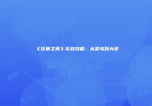 《狂暴之翼》实战攻略：从菜鸟到大佬