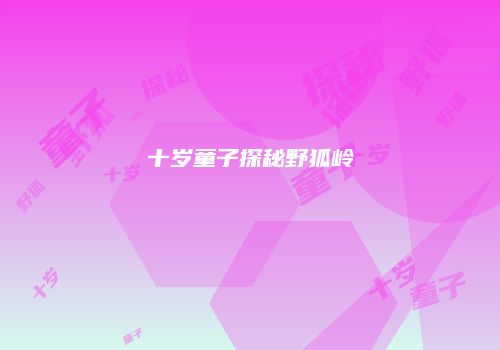 十岁童子探秘野狐岭