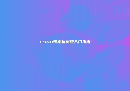 CSGO玩家自制版入门指南