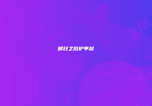明日之后护甲层