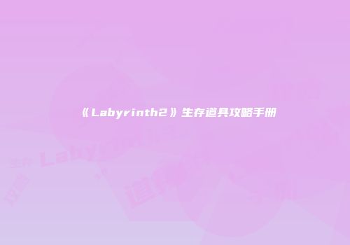 《Labyrinth2》生存道具攻略手册