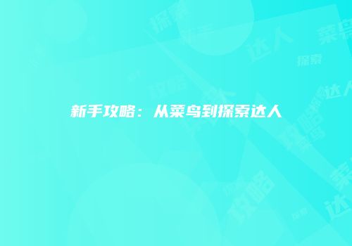 新手攻略：从菜鸟到探索达人