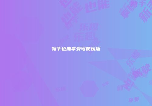 新手也能享受驾驶乐趣