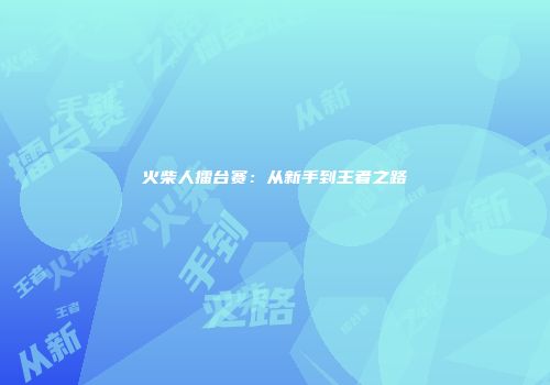 火柴人擂台赛：从新手到王者之路
