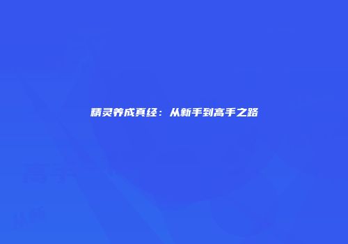 精灵养成真经：从新手到高手之路
