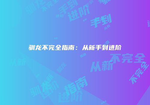 驯龙不完全指南：从新手到进阶