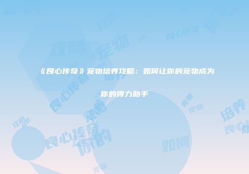 《良心传奇》宠物培养攻略：如何让你的宠物成为你的得力助手