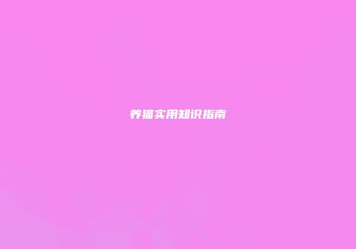 养猫实用知识指南