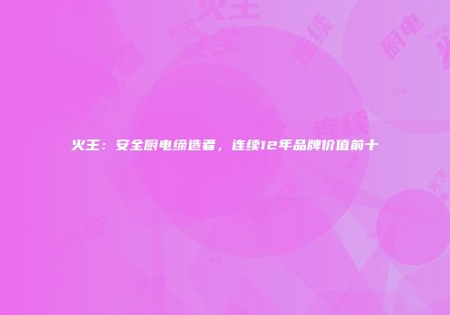 火王：安全厨电缔造者，连续12年品牌价值前十