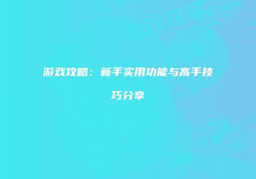 游戏攻略：新手实用功能与高手技巧分享