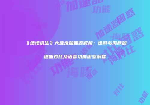 《绝地求生》大逃杀加速器解析：迅游与海豚加速器对比及语音功能困惑解答