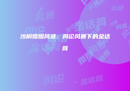 沙桐婚姻风波：舆论风暴下的金话筒