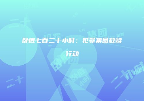 卧底七百二十小时：犯罪集团救赎行动