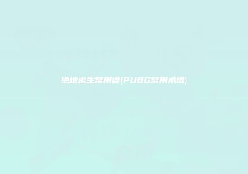 绝地求生常用语(PUBG常用术语)