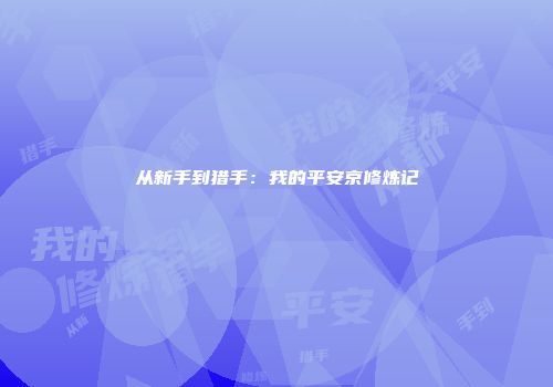 从新手到猎手：我的平安京修炼记