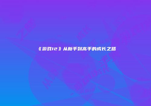 《游戏12》从新手到高手的成长之路