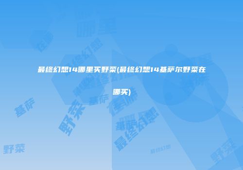 最终幻想14哪里买野菜(最终幻想14基萨尔野菜在哪买)