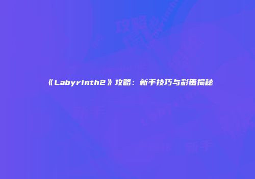 《Labyrinth2》攻略：新手技巧与彩蛋揭秘