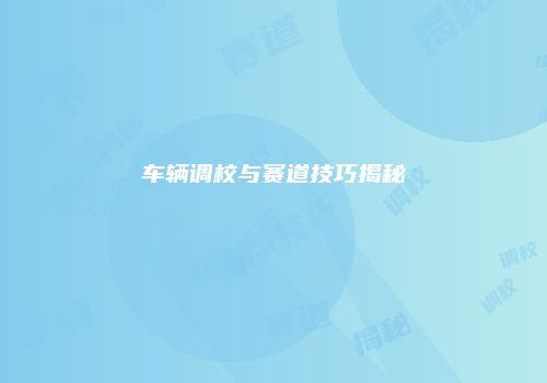 车辆调校与赛道技巧揭秘