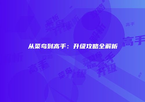 从菜鸟到高手：升级攻略全解析