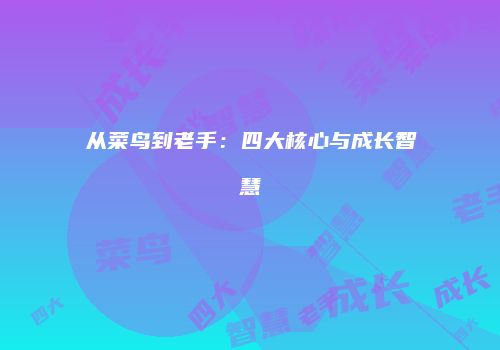 从菜鸟到老手：四大核心与成长智慧