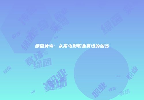 绿茵传奇：从菜鸟到职业赛场的蜕变