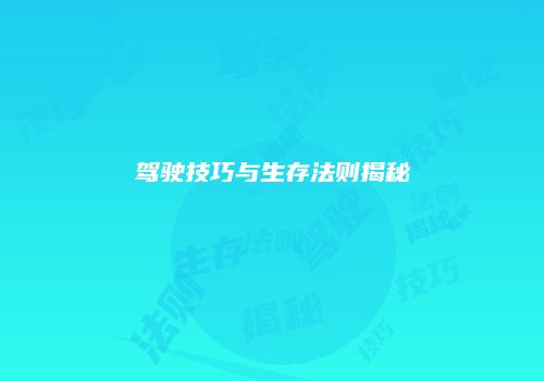 驾驶技巧与生存法则揭秘