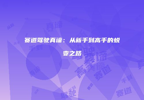 赛道驾驶真谛：从新手到高手的蜕变之路