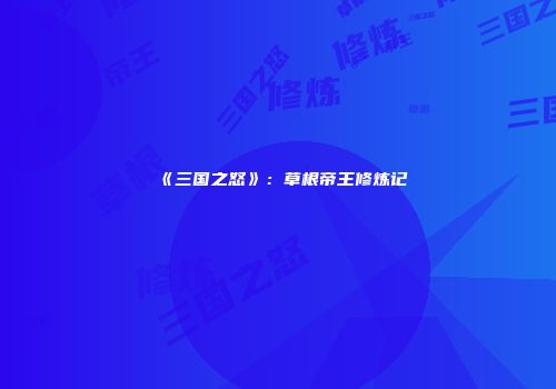 《三国之怒》:草根帝王修炼记