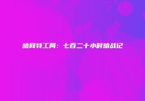 暗网特工局：七百二十小时暗战记