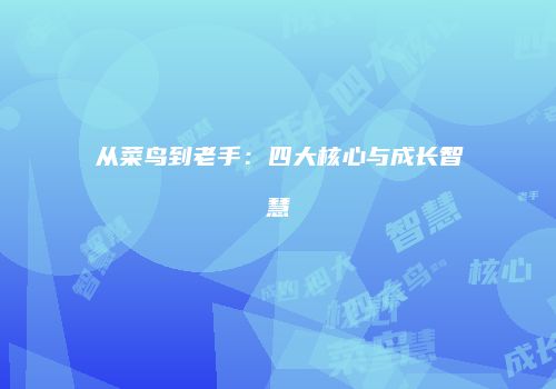 从菜鸟到老手：四大核心与成长智慧