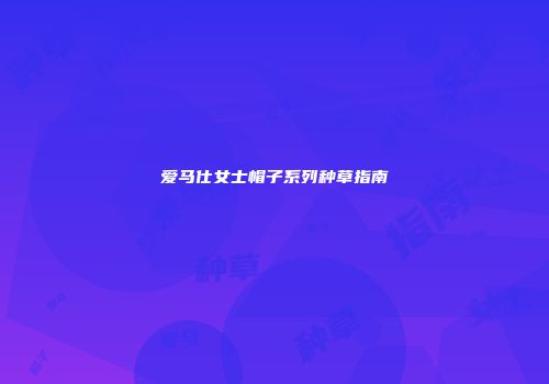 爱马仕女士帽子系列种草指南