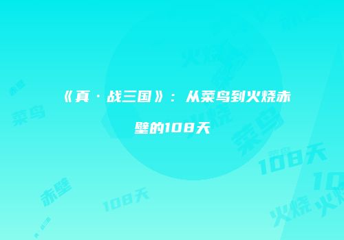 《真·战三国》：从菜鸟到火烧赤壁的108天
