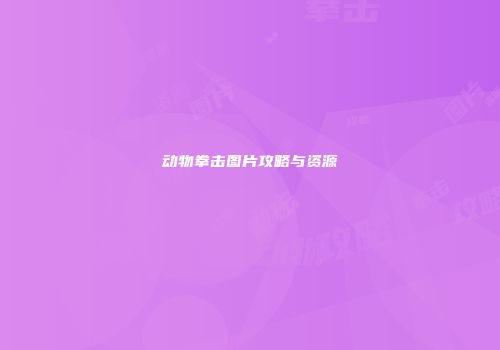 动物拳击图片攻略与资源